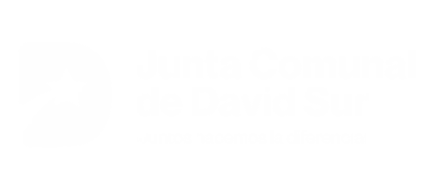 jcdavidsur.com